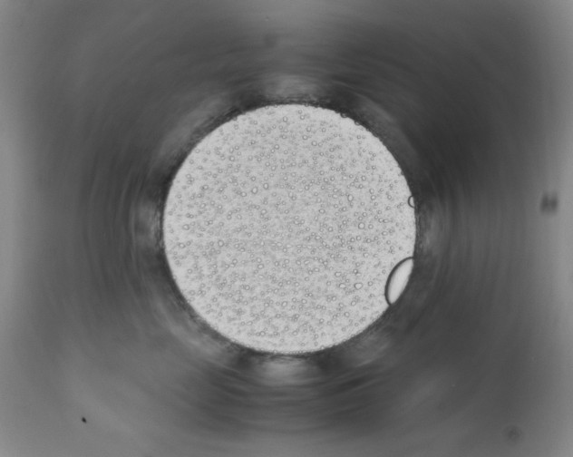 X0000111490669200908251027