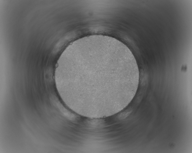 X0000111490670200908251027