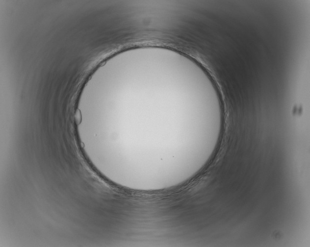 X0000111490673200908251026