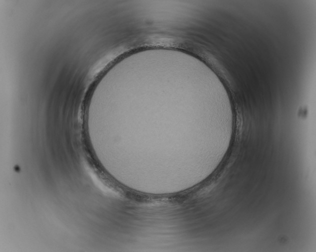 X0000111490674200908251026