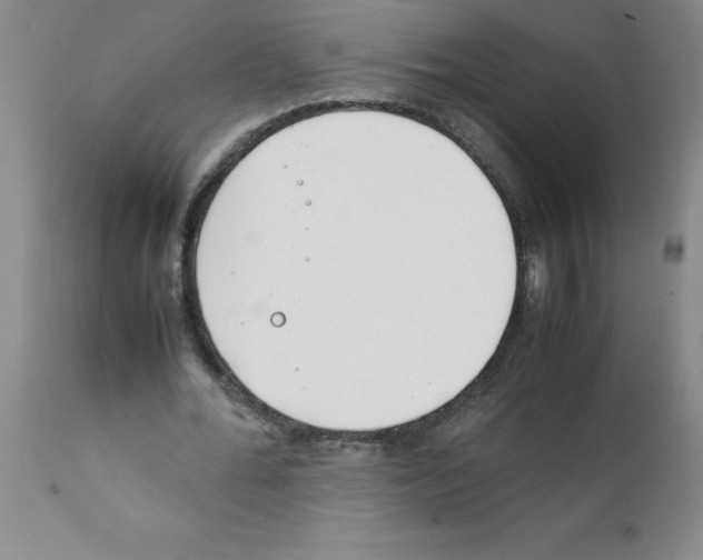 X0000111490676200908251026