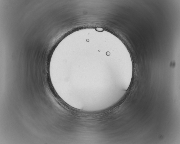 X0000111490677200908251026