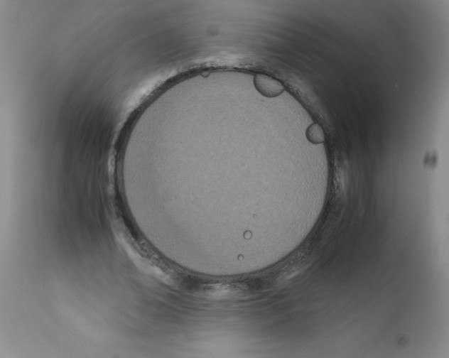 X0000111490678200908251026