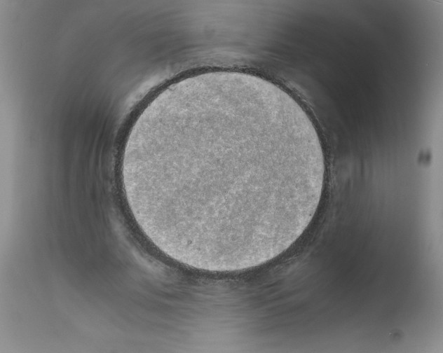 X0000111490679200908251026