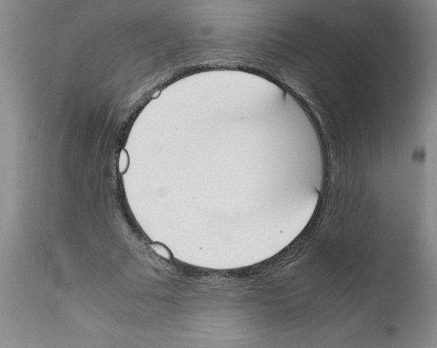 X0000111490681200908251026