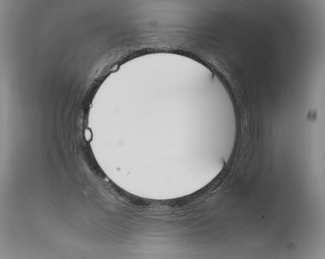 X0000111490685200908251026