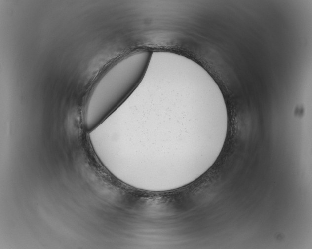 X0000111490688200908251026
