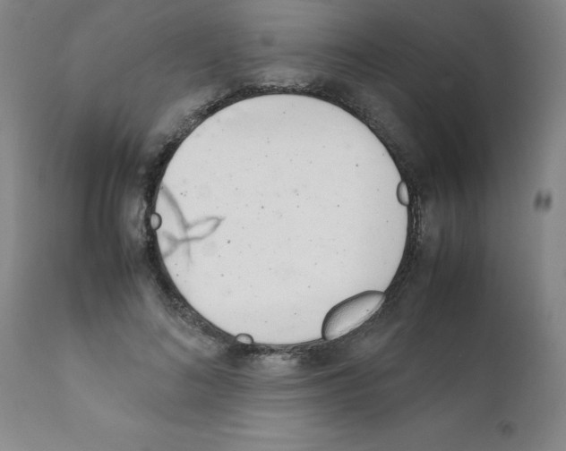 X0000111490692200908251026