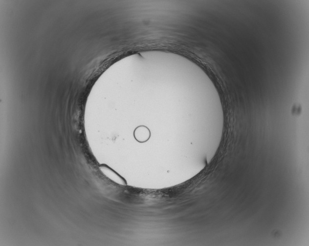 X0000111490693200908251026