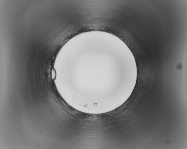 X0000111490696200908251026