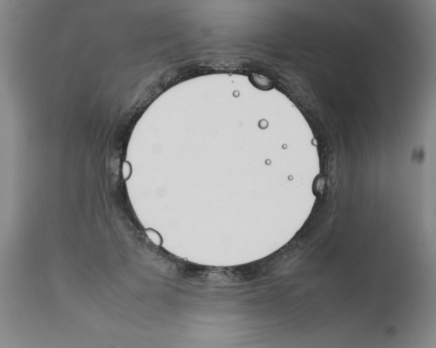 X0000111490697200908251026