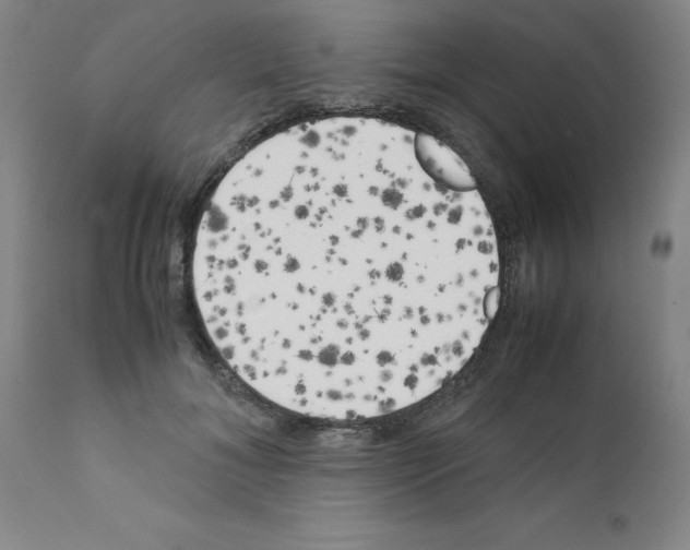 X0000111490700200908251026