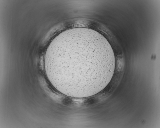 X0000111490701200908251026