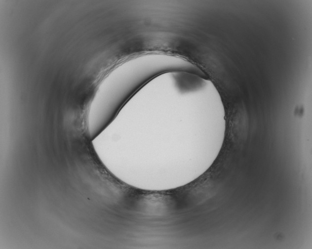 X0000111490708200908251026