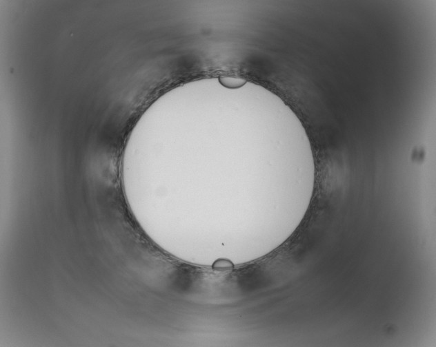 X0000111490709200908251026
