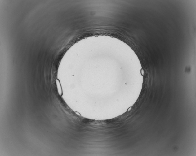 X0000111490712200908251026