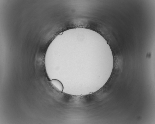 X0000111490713200908251026