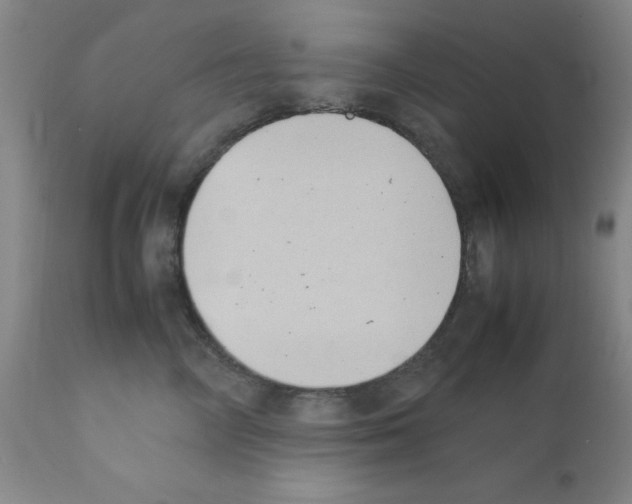 X0000111490714200908251026