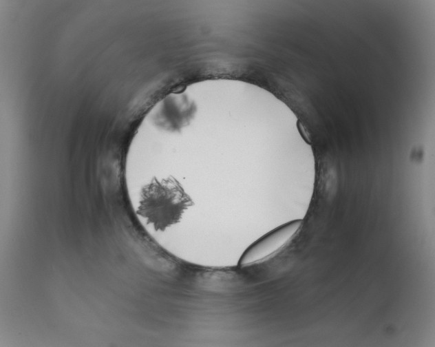 X0000111490716200908251026