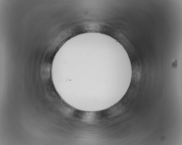 X0000111490717200908251026