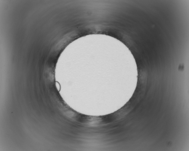 X0000111490719200908251026