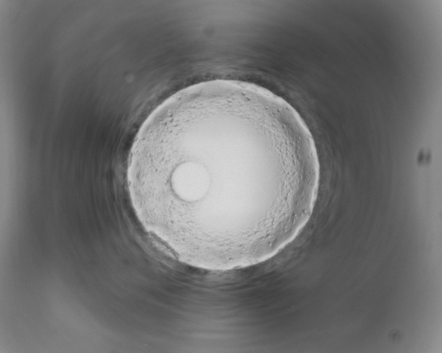 X0000111490720200908251026