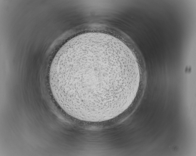 X0000111490721200908251025