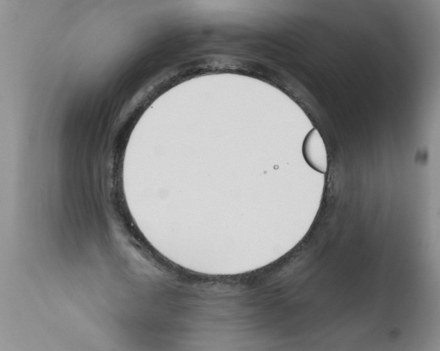 X0000111490722200908251025