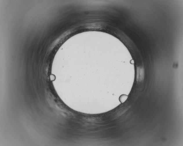 X0000111490723200908251025