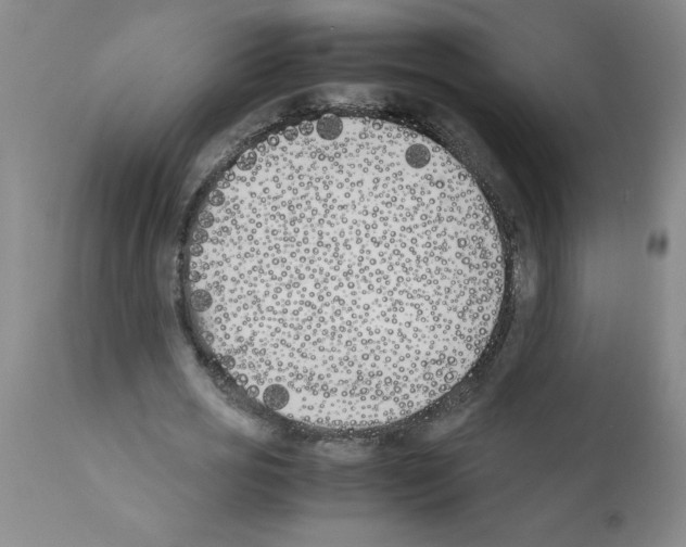 X0000111490725200908251025