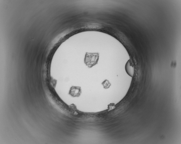 X0000111490726200908251025