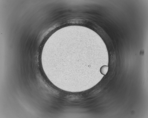 X0000111490727200908251025