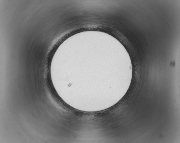 X0000111490728200908251025