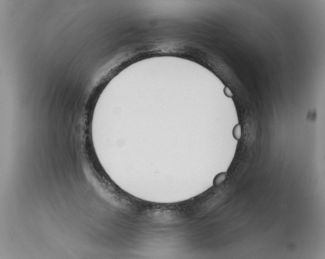 X0000111490730200908251025