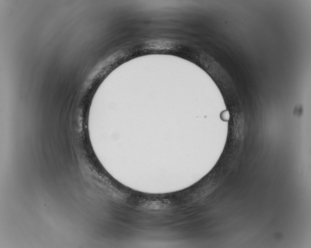 X0000111490731200908251025