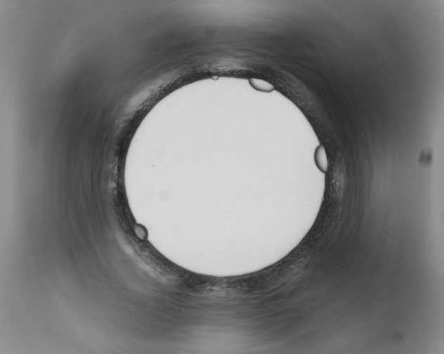 X0000111490732200908251025