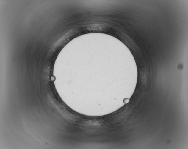 X0000111490735200908251025