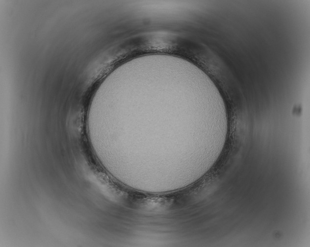 X0000111490736200908251025