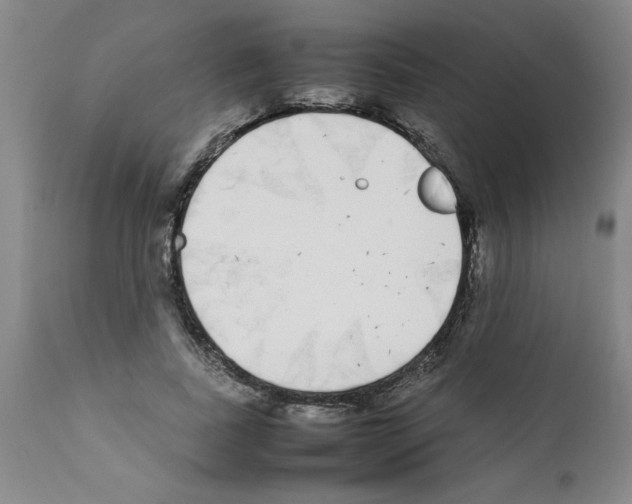 X0000111490739200908251025