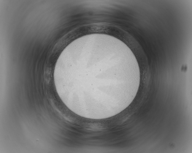 X0000111490741200908251025