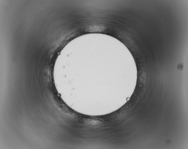 X0000111490743200908251025
