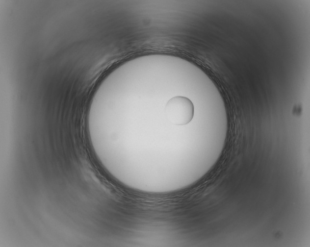 X0000111490744200908251025