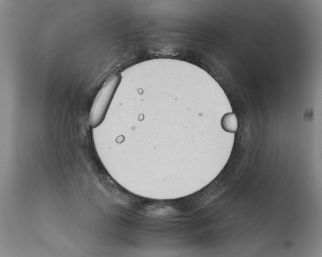 X0000111490747200908251025