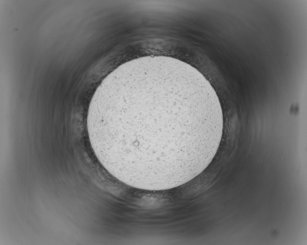 X0000111490749200908251025