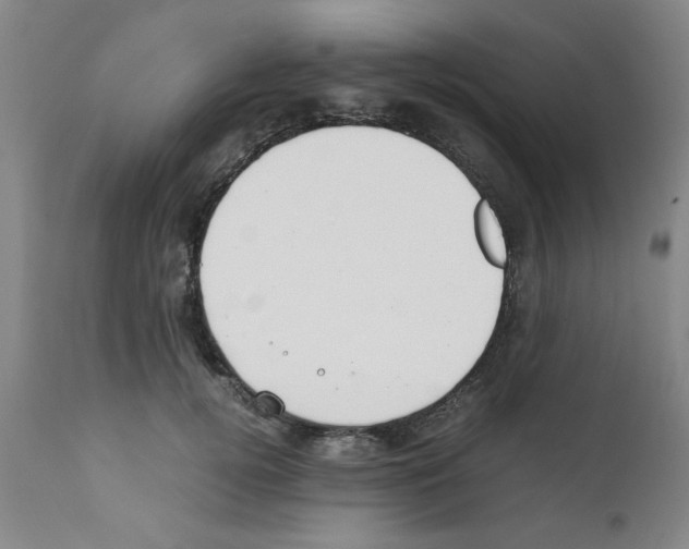 X0000111490752200908251025