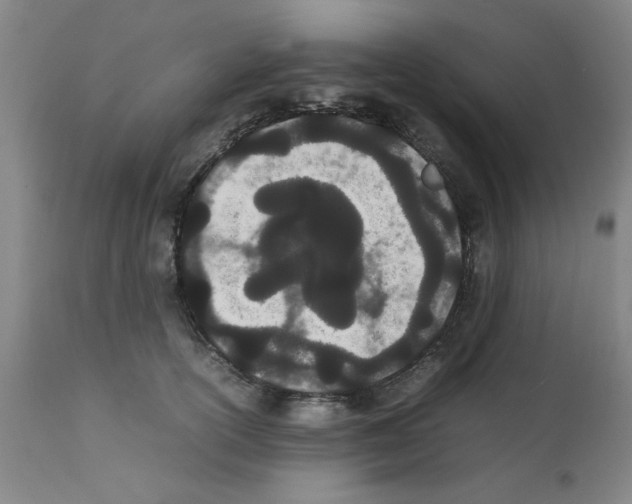 X0000111490754200908251025