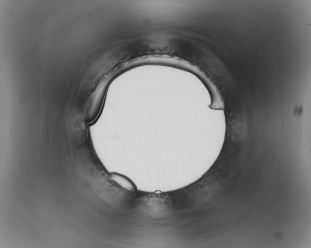 X0000111490756200908251025