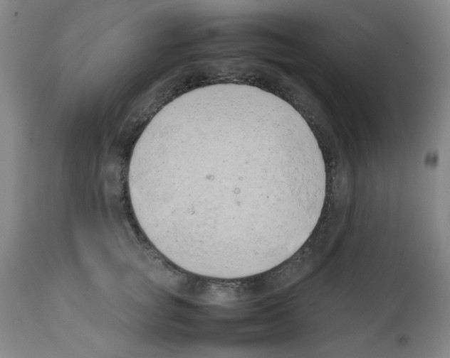 X0000111490757200908251025
