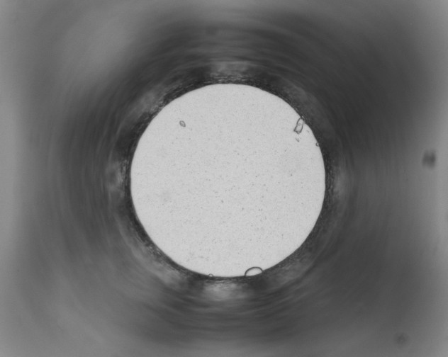 X0000111490759200908251025