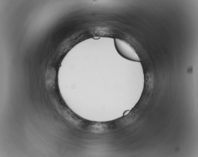 X0000111490760200908251025